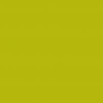 0639 Carambola - laminat HPL
