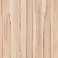 4438 Core Maple - laminat HPL