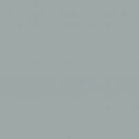 G117 Gris Birdy - laminat HPL