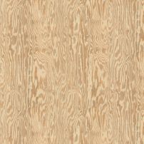 PL2B PLYWOOD NATURAL - laminat HPL