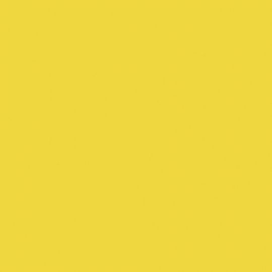 0455 Lemon Peel - laminat HPL