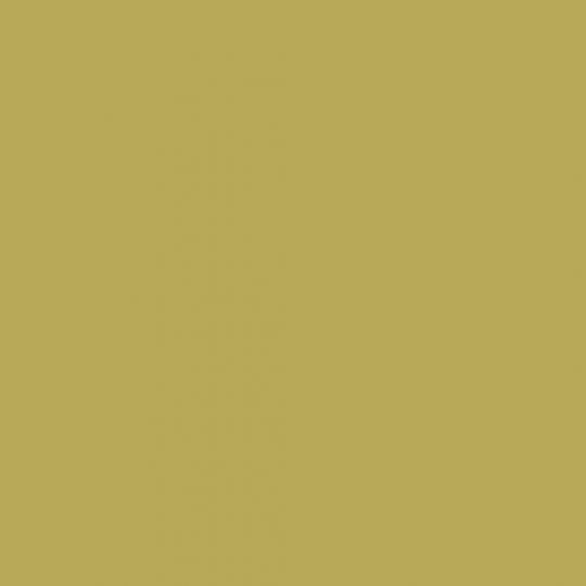 0625 May Green - laminat HPL