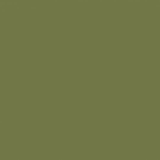 0665 Moss - laminat HPL