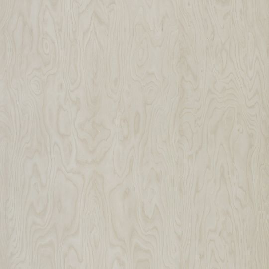 4503 Stevenson Birch - laminat HPL