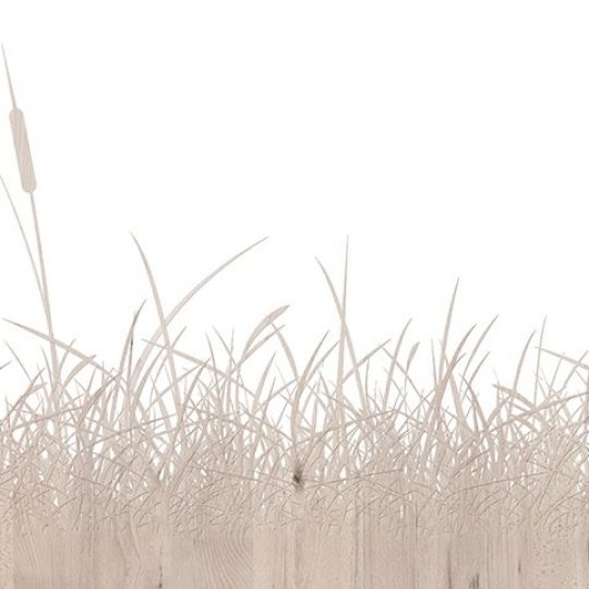 5361 Beech Grasses - laminat HPL