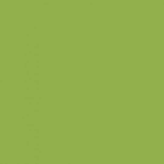9429 Parrot - laminat HPL