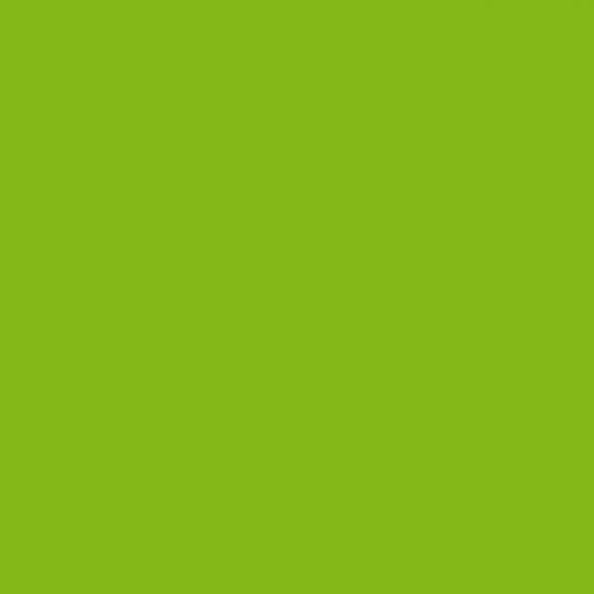 C049 Cactus - laminat HPL