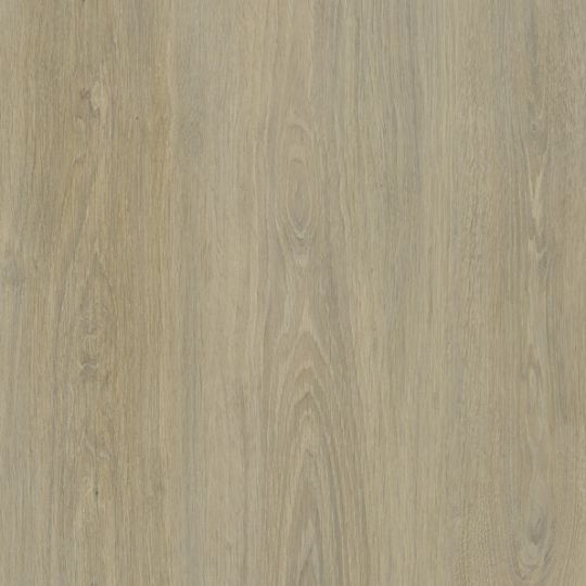C105 Chêne Quebec - laminat HPL