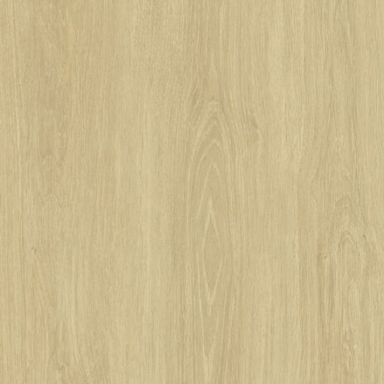 C127 Chêne Giverny - laminat HPL