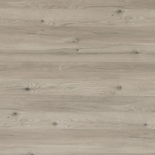 C183 Chêne D'Argent - laminat HPL