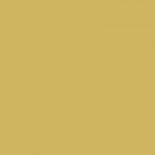 G079 Grain de Moutarde - laminat HPL