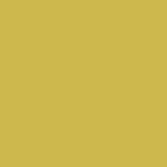 N002 Néon - laminat HPL