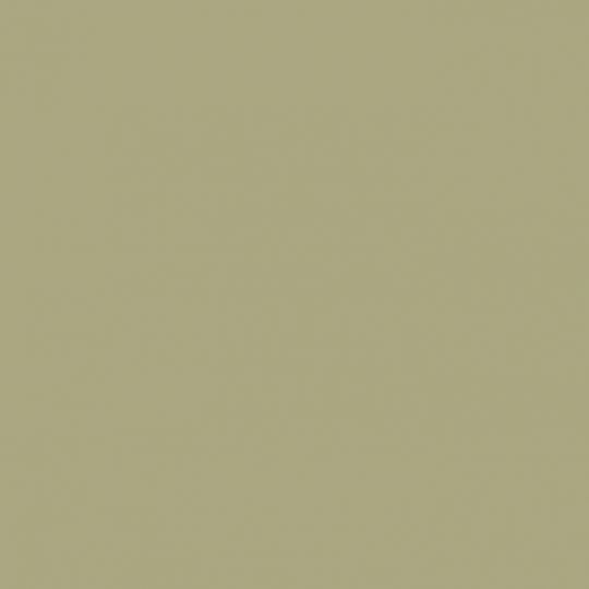 V022 Vert Lichen - laminat HPL