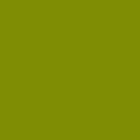 0640 Kiwi - laminat HPL