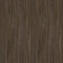 4019 Michigan Elm - laminat HPL