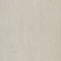 4503 Stevenson Birch - laminat HPL