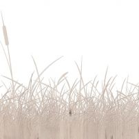 5361 Beech Grasses - laminat HPL