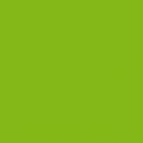 C049 Cactus - laminat HPL
