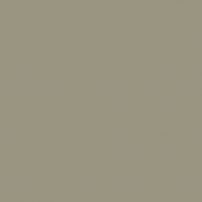 D478 Amazon - laminat HPL