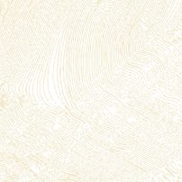 ES0C ESTAMPE D ECRU - laminat HPL