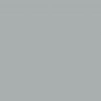 G020 Gris Ciment - laminat HPL