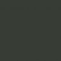 G120 Gris Vison - laminat HPL