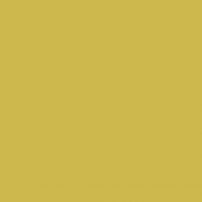 N002 Néon - laminat HPL